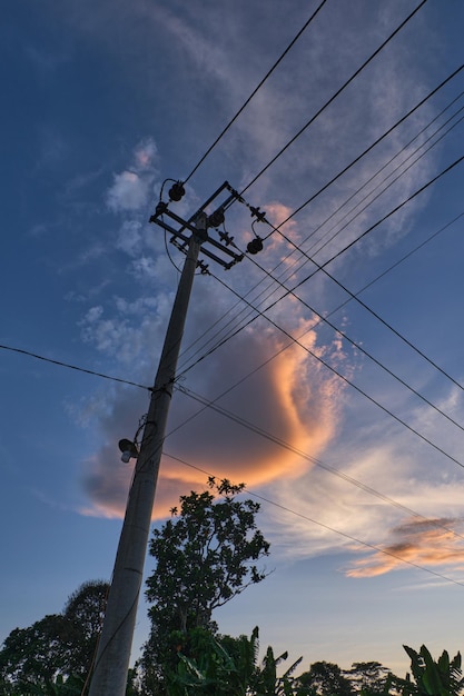 Pili di cavi elettrici comunitari fotografati in un pomeriggio soleggiato