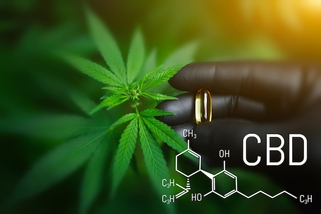Pillola di cannabis CBD in mano con guanto nero, cannabidiolo e capsula di foglie di canapa verde, capsula di olio di canapa. Formula di cannabis CBD