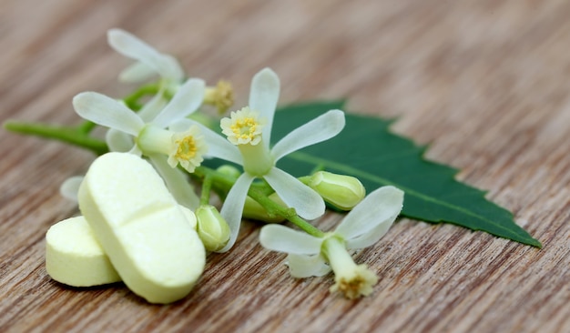 Pillole a base di foglie e fiori di neem medicinali