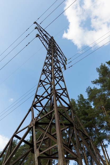Piloni e fili di elettricità ad alta tensione in un campo verde e alberi forestali contro il cielo blu. Foto di alta qualità