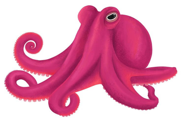 Photo pink octopus png sticker animal illustration transparent background