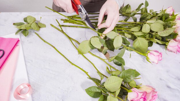 Pink Roses