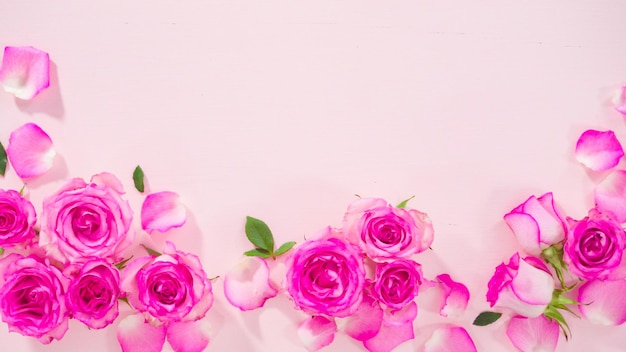 Pink Roses