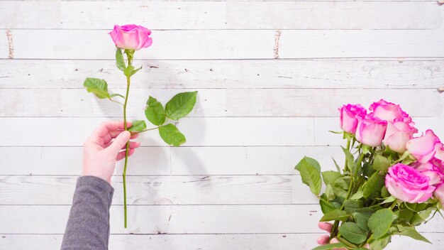 Pink Roses