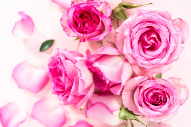 Pink Roses