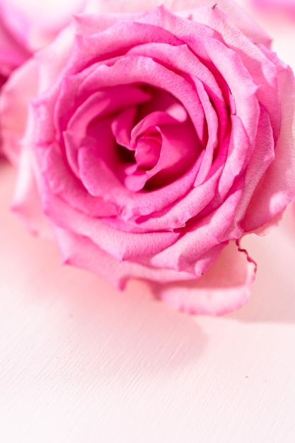 Pink Roses