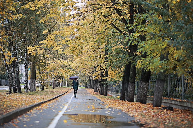 Pioggia autunnale nel parco durante il giorno