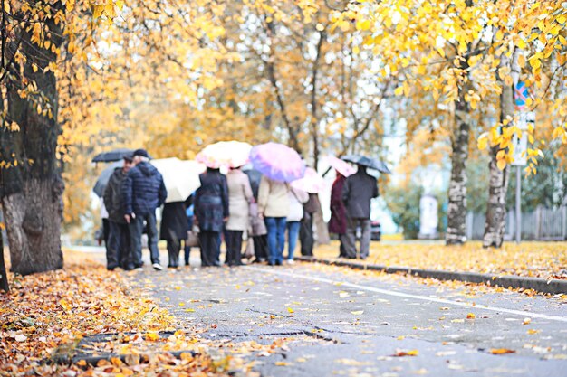 Pioggia autunnale nel parco