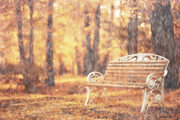 pioggia autunno paesaggio vista panchina del parco, gocce di pioggia concetto triste umore depressione stagionale