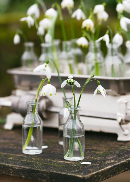 Pioggia di neve primaverile e fiori di fiocco di neve nelle vecchie bottiglie di farmacia di vetro su un tavolo di legno rustico