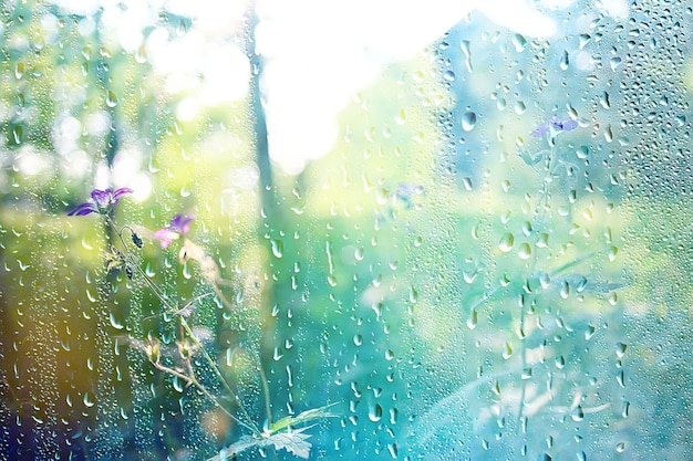 pioggia estiva vetro bagnato / sfondo astratto paesaggio in una giornata di pioggia fuori dalla finestra sfondo sfocato
