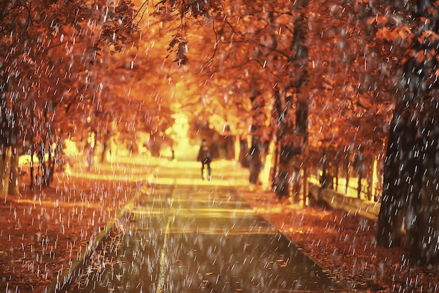 pioggia sfondo autunno parco paesaggistico, astratto stagionale nessuno meteo ottobre paesaggio
