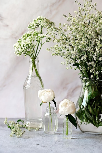 Pioni di gipsofila bianchi freschi su uno sfondo bianco Data di matrimonio Invito a una festa Congratulazioni Spazio vuoto per il testo Vista dall'alto