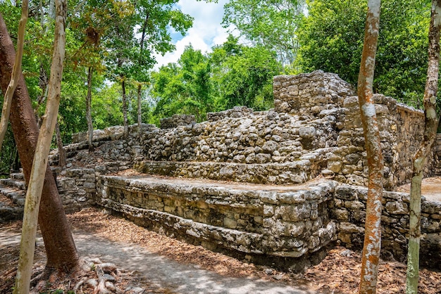 Piramide di Nohoch Mul a Coba. Piramide e tempio con gradini in pietra nelle rovine Maya di Coba