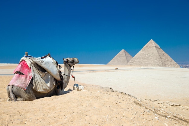 Piramidi con un bel cielo di Giza al Cairo in Egitto