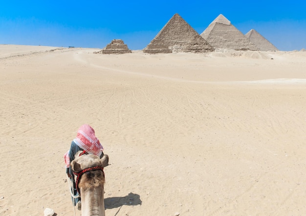 Piramidi con una Giza al Cairo in Egitto