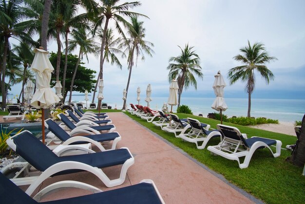 Piscina accanto al mare con albero di cocco moderno hotel di lusso, isola di Samui, Thailandia