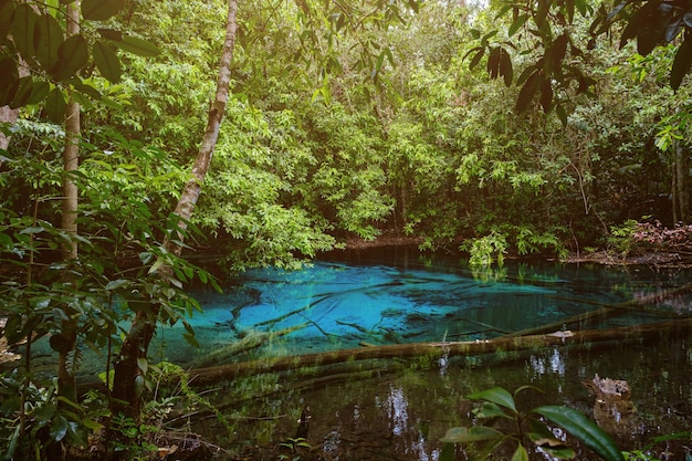 Piscina blu o smeraldo nel parco nazionale Sa Morakot Krabi Thailandia