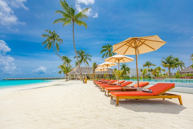 piscina e sedie da spiaggia o lettini sotto ombrelli con palme cielo blu isola estiva
