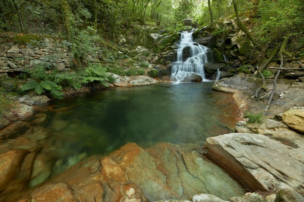 Piscina naturale formata da una piccola cascata nel mezzo di un bosco