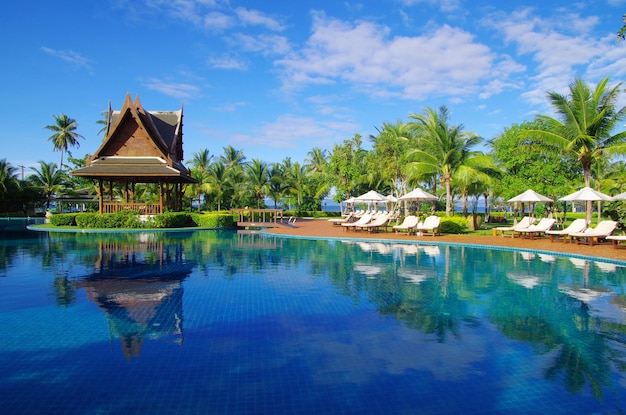 Piscina tropicale con albero di cocco e ombrellone bianco