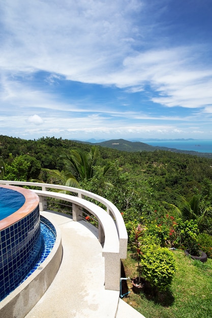 Piscina tropicale con albero di cocco