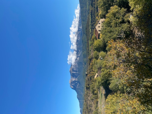 Pisello Montaosa Ainsa Huesca Spagna Parco Nazionale di Ordesa e Monte Perdido