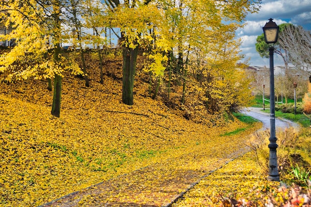 Pista ciclabile coperta da foglie autunnali cadute, nella città di Arroyomolinos, Madrid (Spagna).