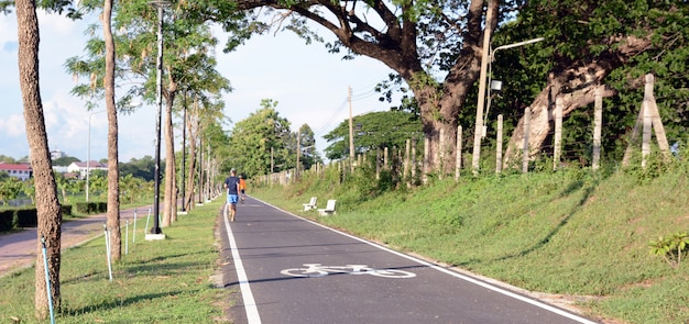 Pista ciclabile nel parco, bicicletta, bici del parco