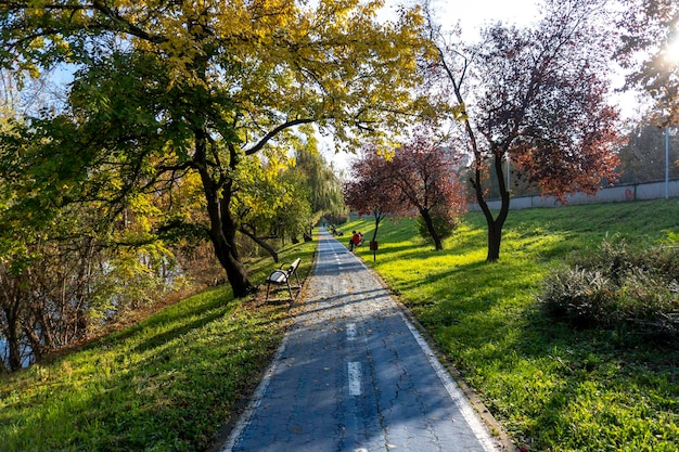 Pista ciclabile nel parco