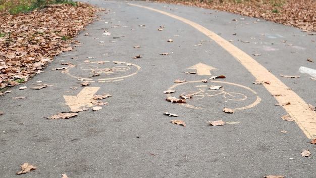 Pista ciclabile sul lato di una strada cittadina in autunno. Segnaletica stradale sotto forma di due frecce in arrivo su un percorso asfaltato nel parco autunnale. Foglie cadute nella foresta. Concetto di stagione autunnale.