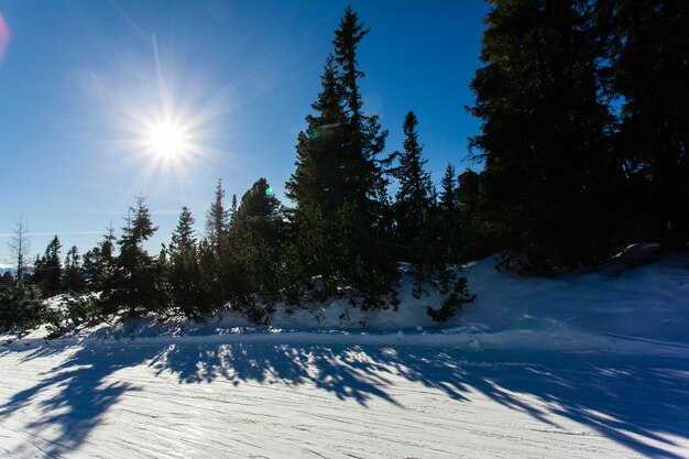 Pista da sci in Alti Tatra. Giornata di sole gelido