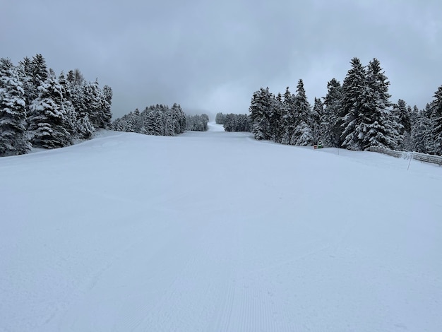 Pista da sci innevata