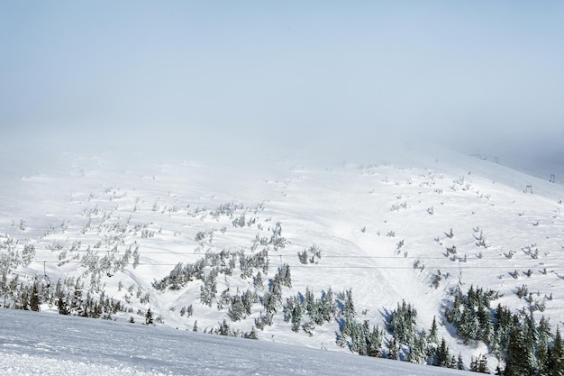 Pista da sci nella località innevata nella giornata invernale