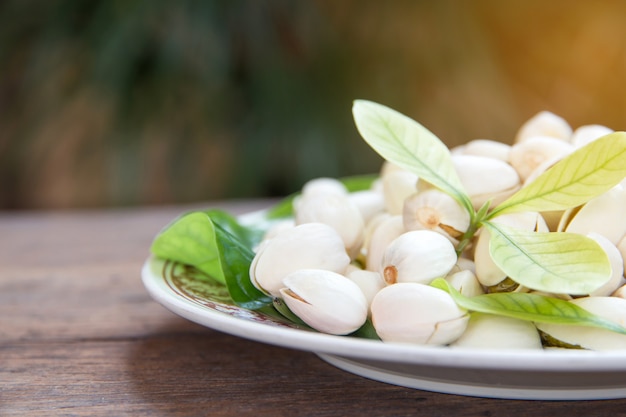 Pistacchio in ciotola di legno sullo sfondo con foglie verdi