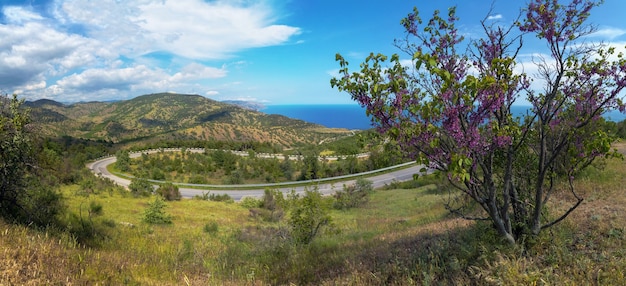 Pittoresca autostrada di montagna sulla sezione Sudak-Alushta.