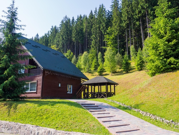 Pittoresca casa in legno sullo sfondo dei Carpazi