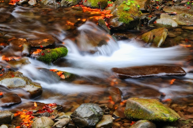 Pittoresca cascata nella foresta d'autunno