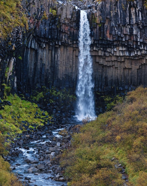 Pittoresca cascata Svartifoss islandese per la cascata nera circondata da colonne di basalto lavico scuro vista autunnale Parco Nazionale Skaftafell Islanda