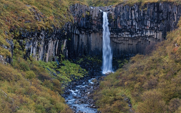 Pittoresca cascata Svartifoss islandese per la cascata nera circondata da colonne di basalto lavico scuro vista autunnale Parco Nazionale Skaftafell Islanda