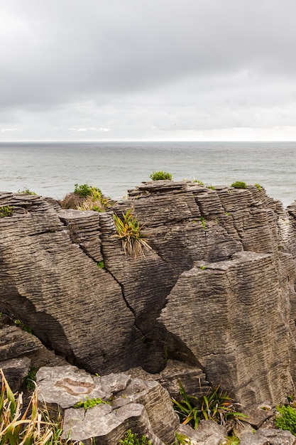 Pittoresca costa Pancake Rocks Parco nazionale di Paparoa Isola del Sud della Nuova Zelanda