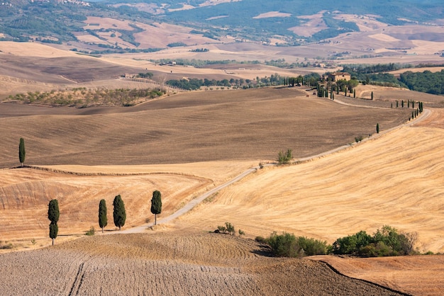 Pittoresca strada di campagna con cipressi tra campi estivi gialli in Toscana Italia