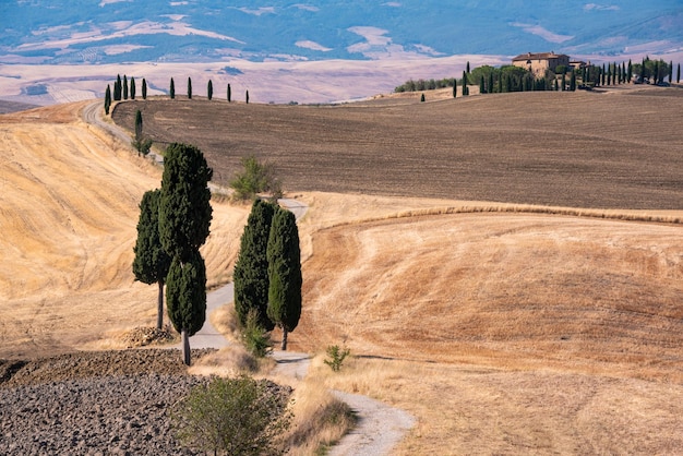 Pittoresca strada di campagna con cipressi tra campi estivi gialli in Toscana Italia