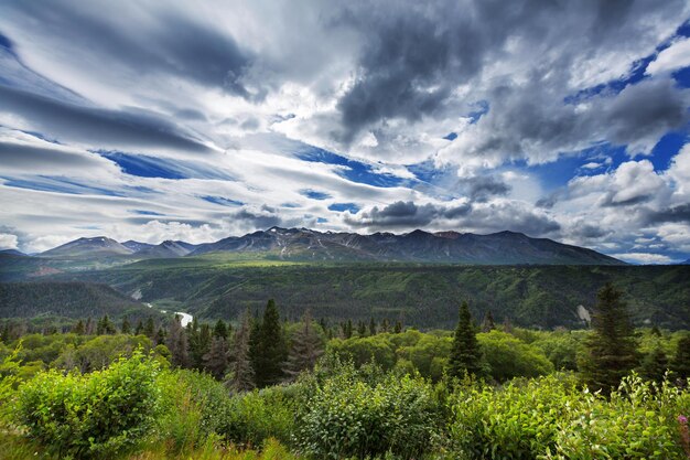 Pittoresca vista sulle montagne delle Montagne Rocciose canadesi nella stagione estiva