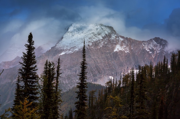 Pittoresca vista sulle montagne delle Montagne Rocciose canadesi nella stagione estiva