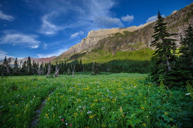 Pittoresche cime rocciose del Glacier National Park, Montana, USA