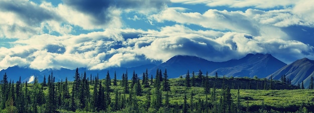 Pittoresche montagne dell'Alaska in estate. Massicci innevati, ghiacciai e picchi rocciosi.