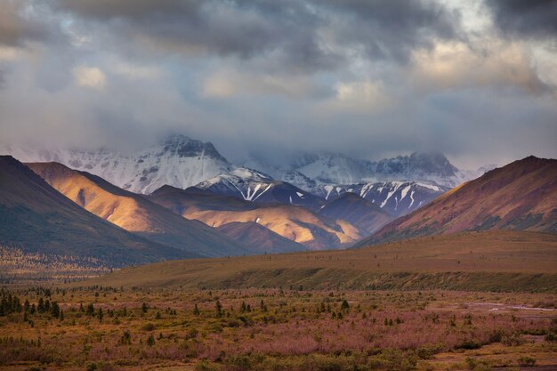 Pittoresche montagne dell'Alaska in estate. Massicci innevati, ghiacciai e picchi rocciosi.