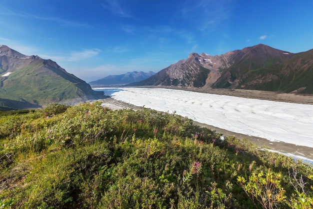 Pittoresche montagne dell'Alaska. Massicci innevati, ghiacciai e picchi rocciosi.