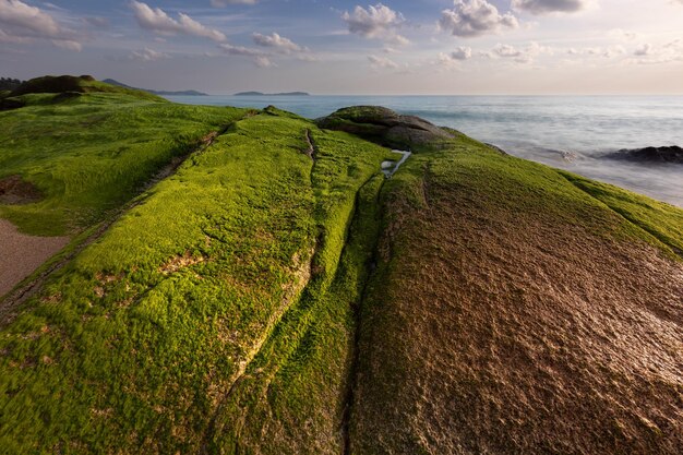 Pittoresche rocce granitiche ricoperte di alghe verdi vivide su una riva del mare Samui Thailandia